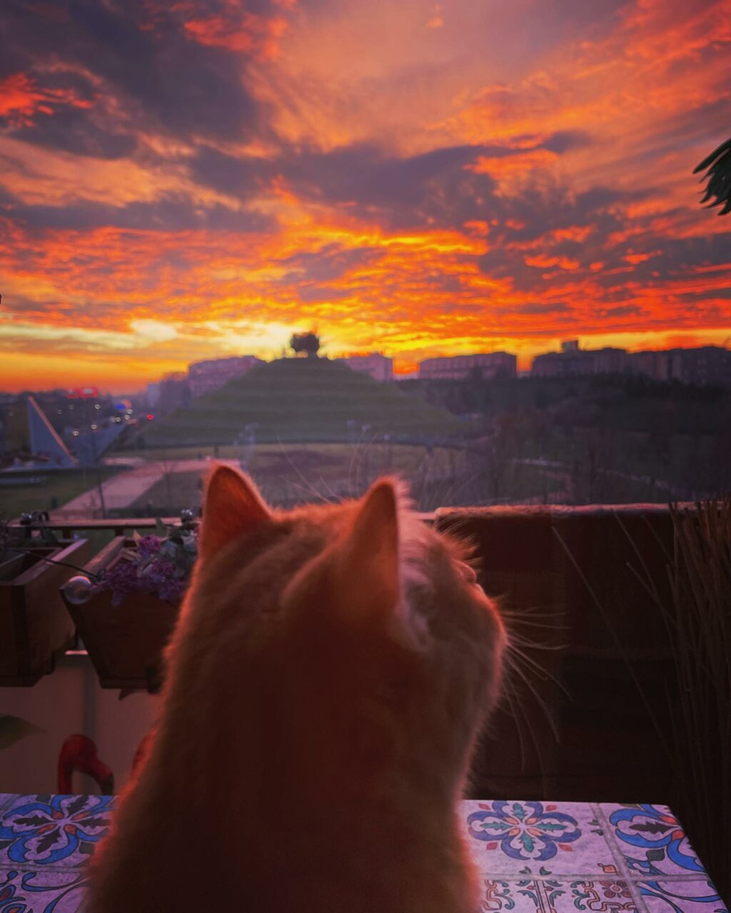 Selvaggia Lucarelli, la regina del gossip e del sarcasmo, quella che non ha peli sulla lingua e che...