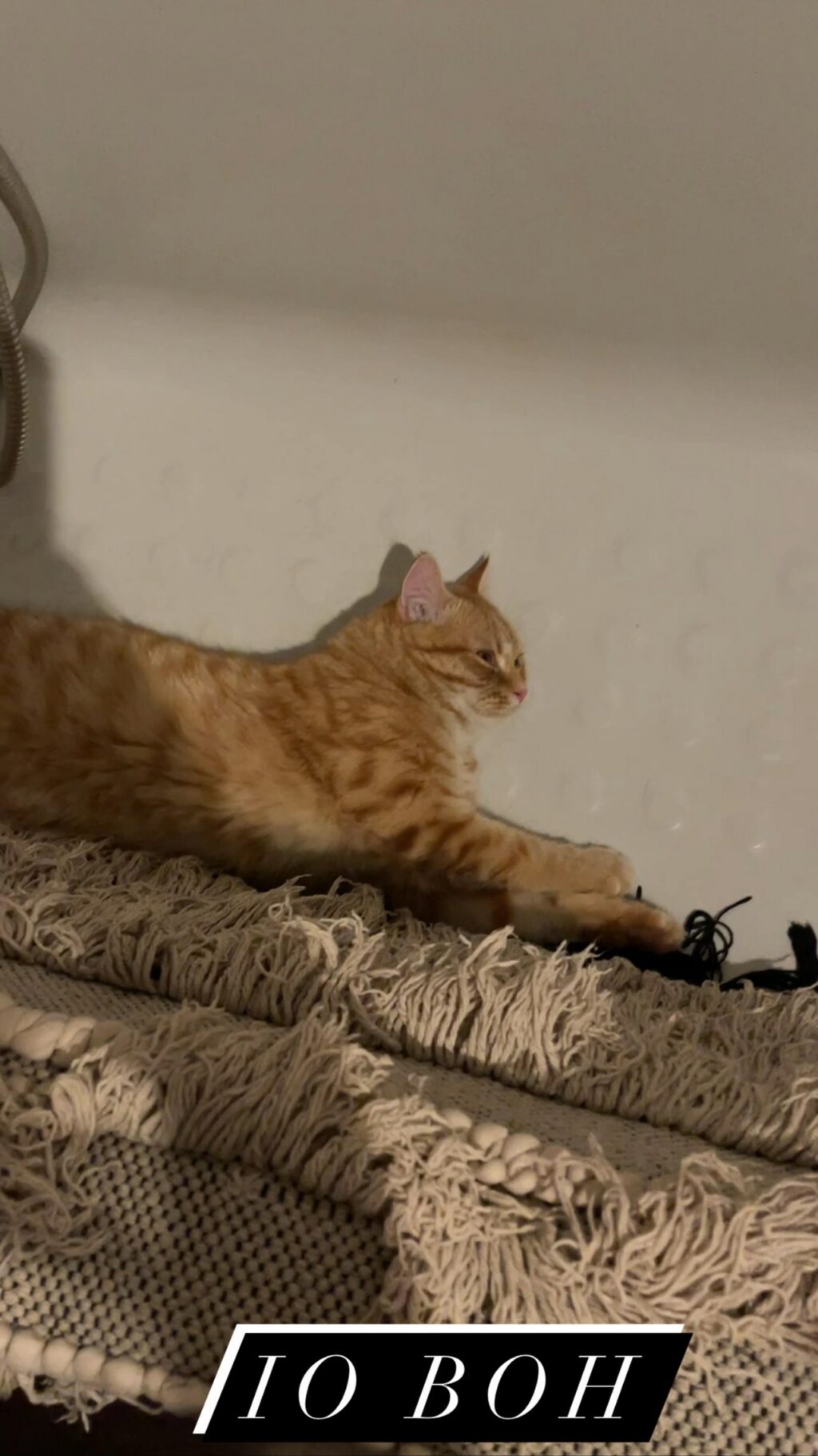 Selvaggia Lucarelli, … su Instagram per i suoi fan