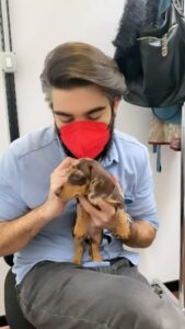 Selvaggia Lucarelli, sempre quello a cui gli animali non piacevano, e che ora mi manda questi video s… su Instagram per i suoi fan