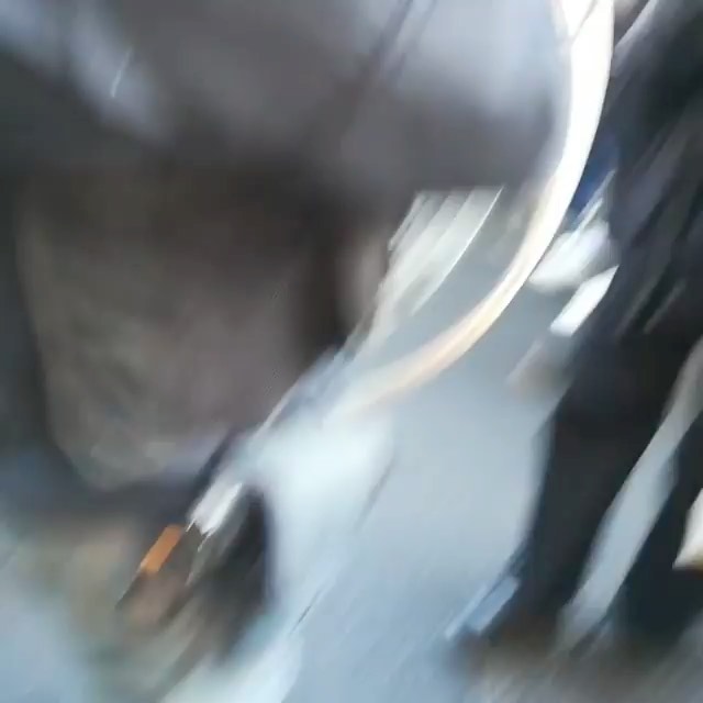 Selvaggia Lucarelli Ieri poche centinaia di studenti a Milano e Torino hanno manifestato contro l’al...