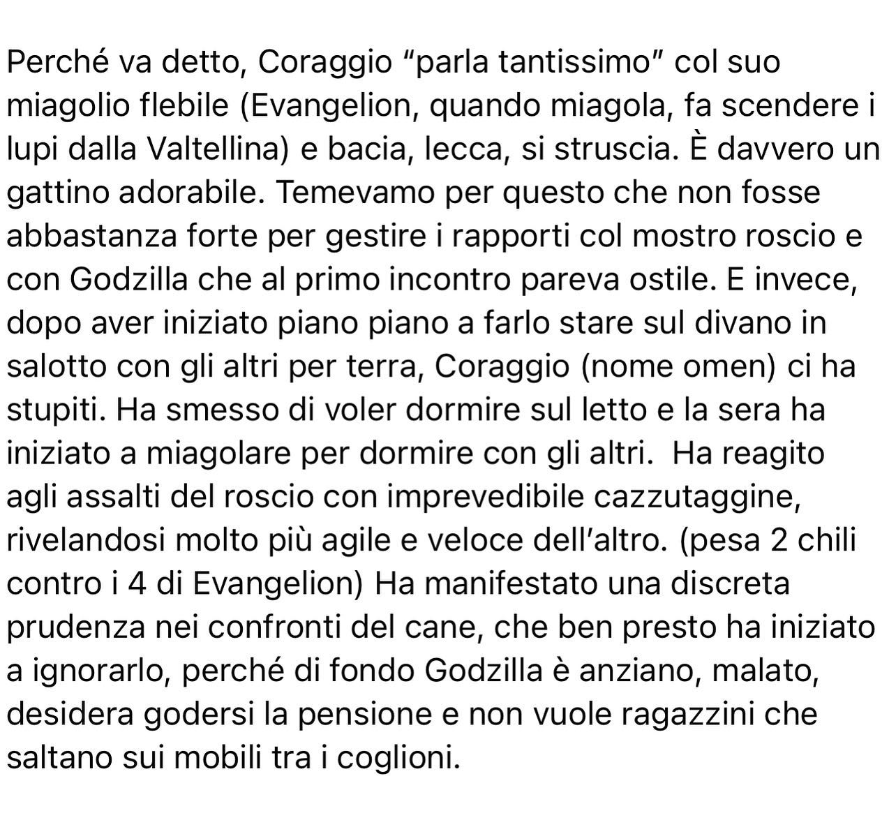 Selvaggia Lucarelli Cosa è successo dopo l’arrivo del gattino Coraggio qui dalle nostre parti. (GALL...