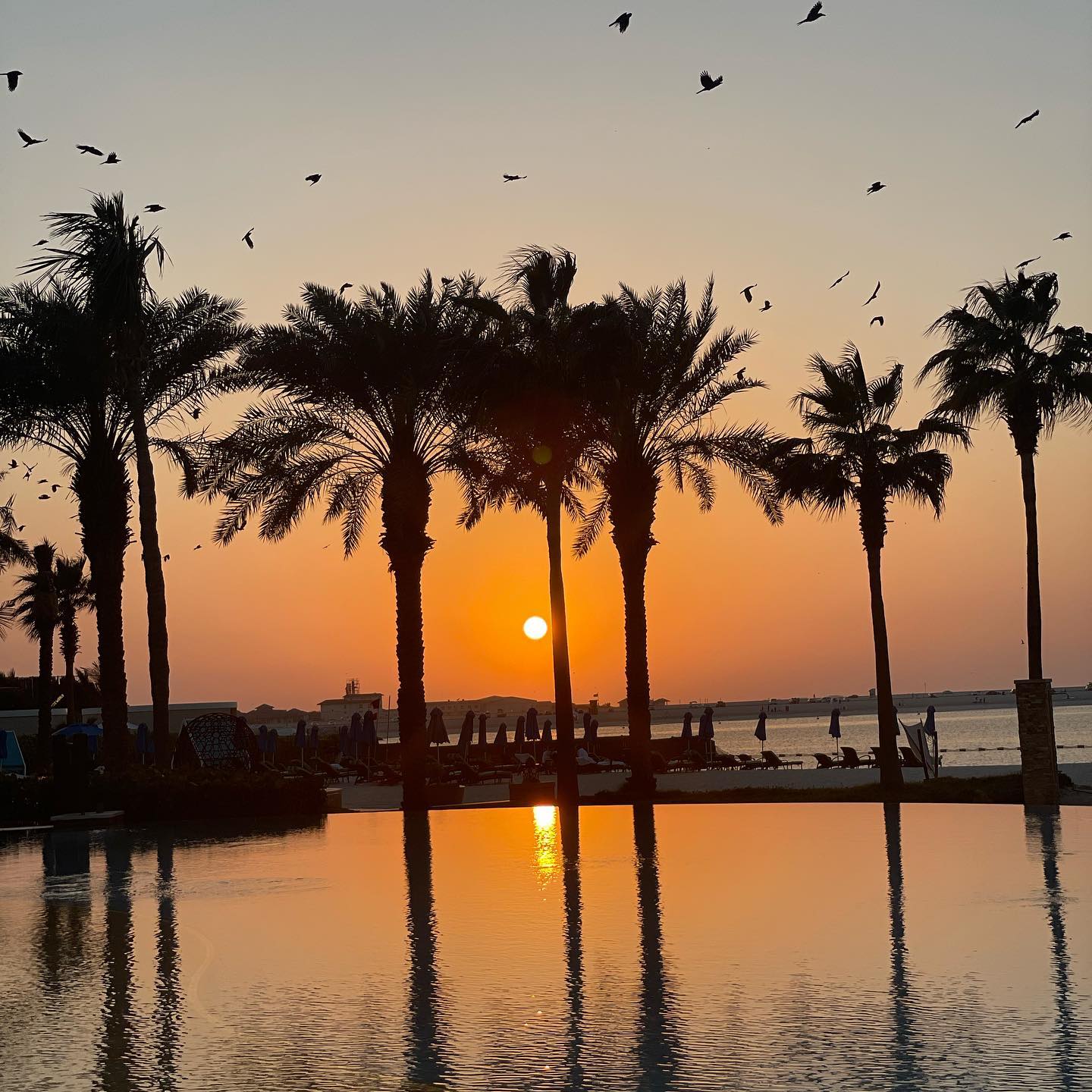 Elisabetta Gregoraci Noi 14 Febbraio...