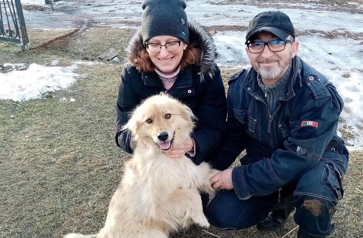 Elisabetta Canalis Oggi è passato un mese esatto dall’ ultimo Whatsapp di Andrea Cisternino in cui...