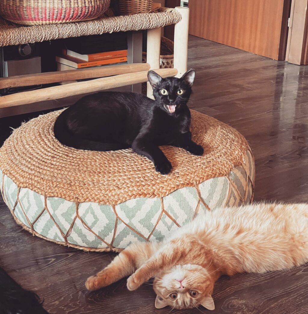 Selvaggia Lucarelli, La apparenze ingannano…. su Instagram delizia i suoi fan