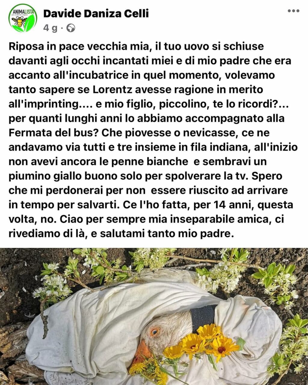 Selvaggia Lucarelli, la regina dei pettegolezzi e delle opinioni taglienti, ha conquistato il web...