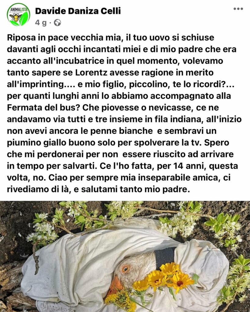 Selvaggia Lucarelli, Faccio molta fatica a sintonizzarmi su quasi tutto quello che leggo e ascolto in… su Instagram stupisce i suoi fan