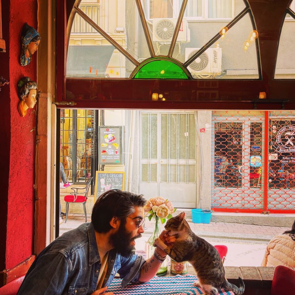 Ebbene sì, Selvaggia Lucarelli è il vero tormento dei Vip! Se pensavate che essere famosi mettesse...