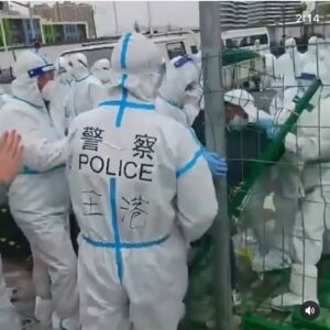 Selvaggia Lucarelli, La situazione a Shanghai sta degenerando. Secondo Newsweek un complesso è stato … su Instagram per i suoi fan