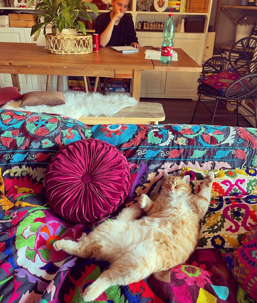 Selvaggia Lucarelli: un nome che fa tremare i polsi a chiunque si affacci nel caotico mondo dei...