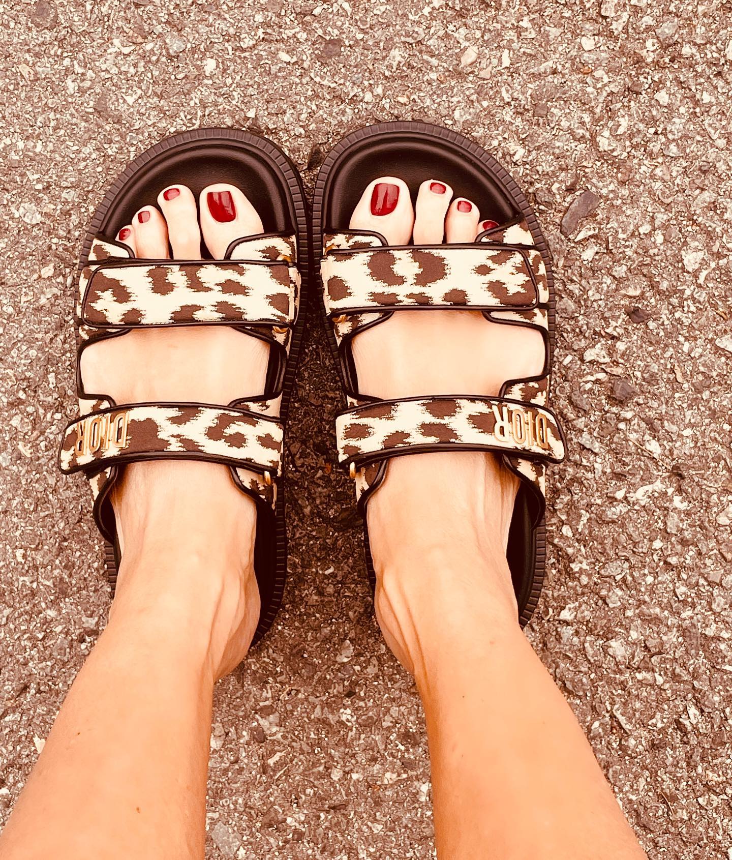 Elisabetta Gregoraci Una giornata per me e il mio cucciolo mi aspettano delle giornate emozionanti e ...