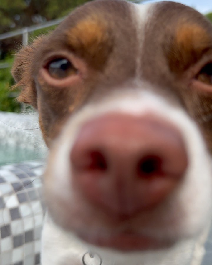 Elisabetta Canalis Holidays have never been so magical 
Thanks 

Le vacanze non sono state mai cos...