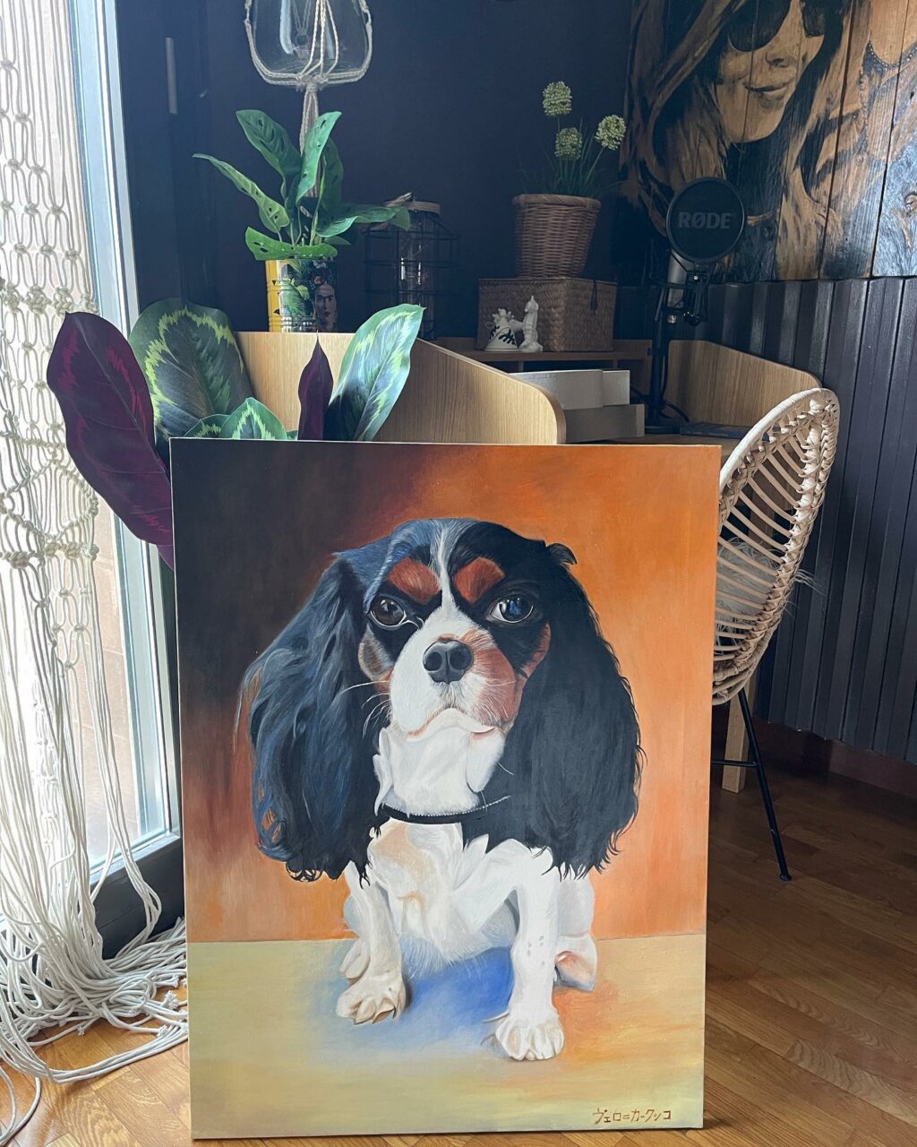 Benvenuti al testo introduttivo dedicato alla famosissima Selvaggia Lucarelli, la regina dei gossip...