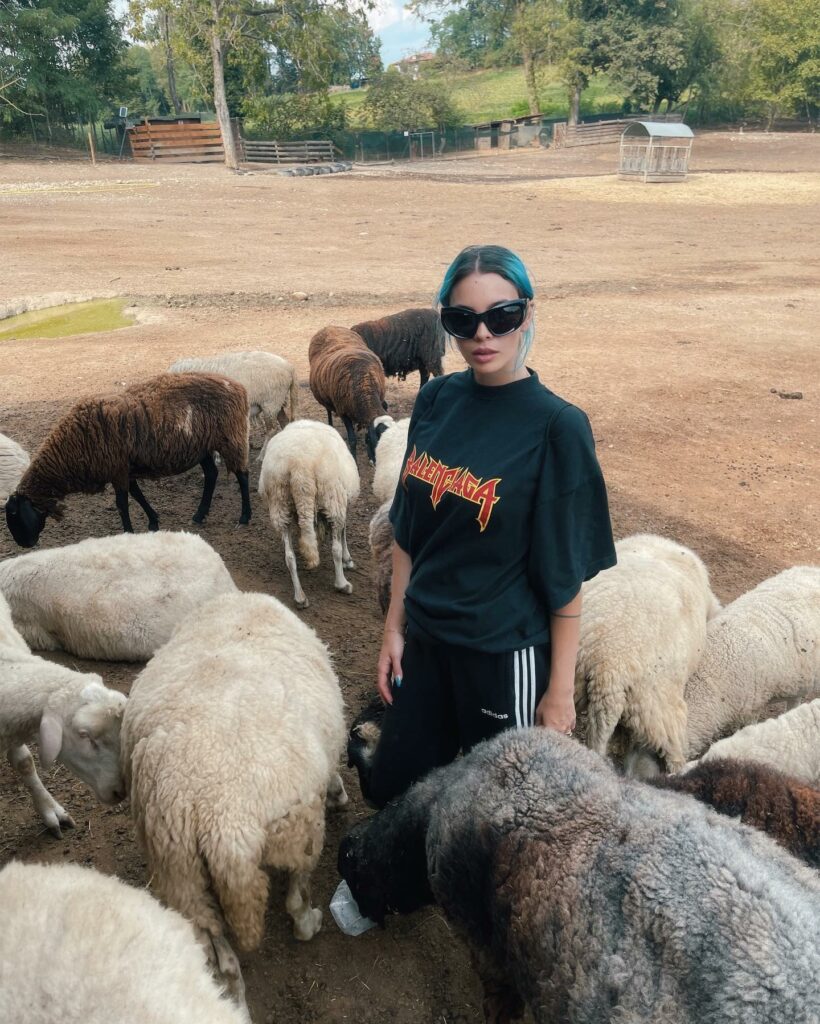 Rose Villan, Ho passato un pomeriggio speciale a conoscere questi animali in un santuario vic… su Instagram per i suoi fan
