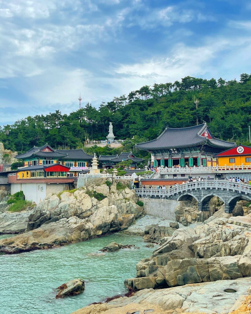 Selvaggia Lucarelli, Ferragosto a Pusan, sud est della Corea. Ovviamente avevamo la borsa frigo con l… su Instagram per i suoi fan