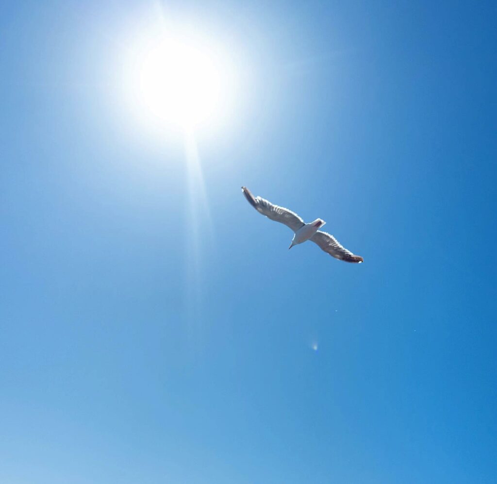Chi non conosce la nostra amata Elisabetta Canalis? La regina indiscussa della bellezza, del fascino...