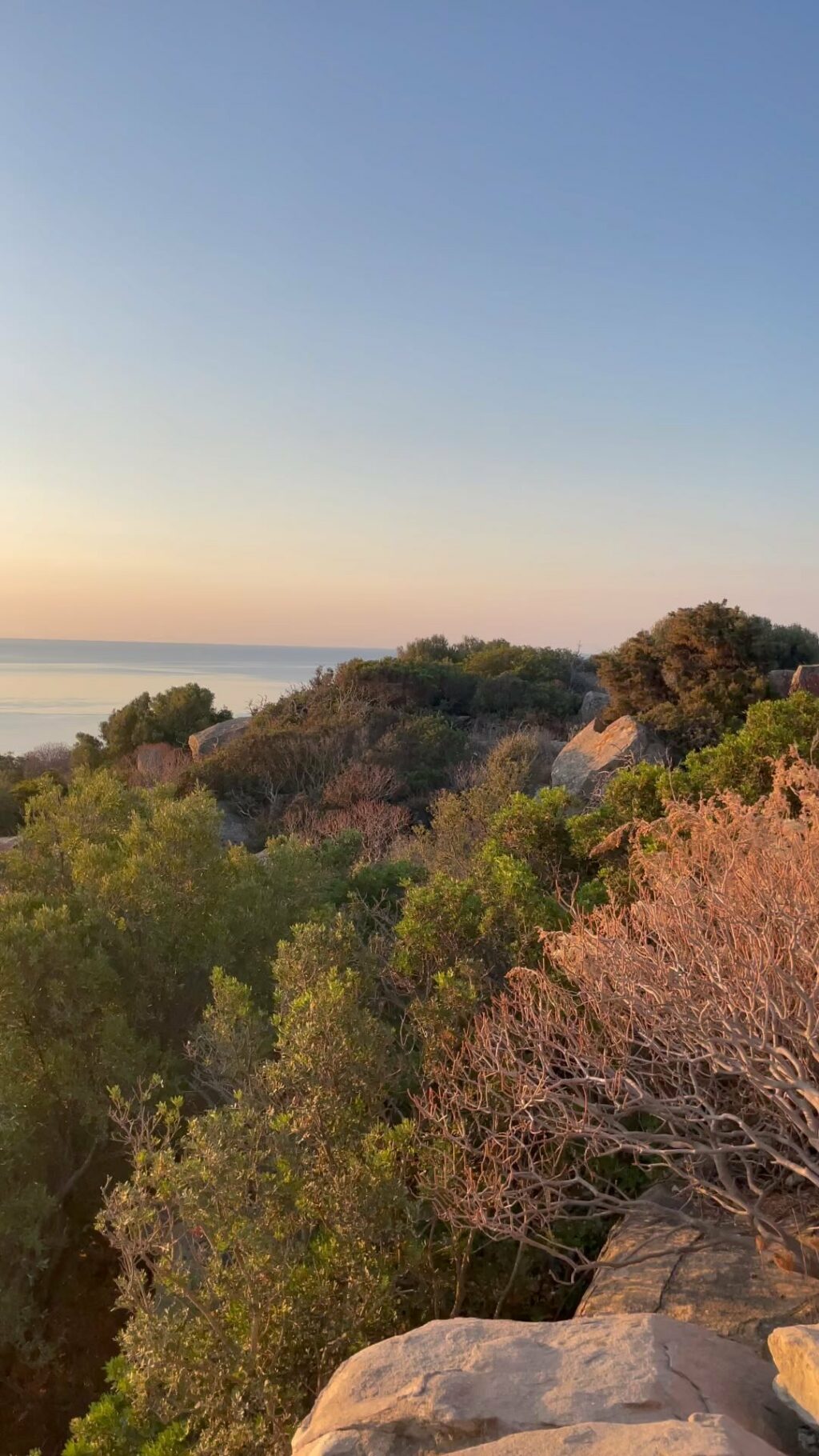 Se c'è qualcuno che ha imparato a fare tutto con stile, quella è Martina Colombari. Una vera regina...