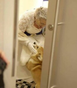 Chi è Selvaggia Lucarelli? Una donna dal carattere forte, dalla lingua tagliente e dagli occhi che...