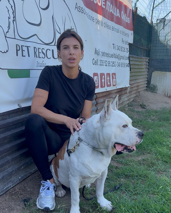 Elisabetta Canalis Insieme alla mia amica giornalista , sono venuta a trovare gli amici di .
Qua...