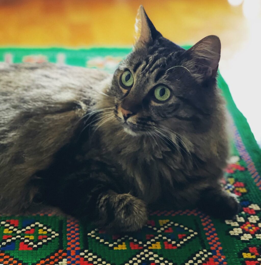 Selvaggia Lucarelli, un tornado rosa nell'oceano grigio del giornalismo italiano. Con la sua ironia...