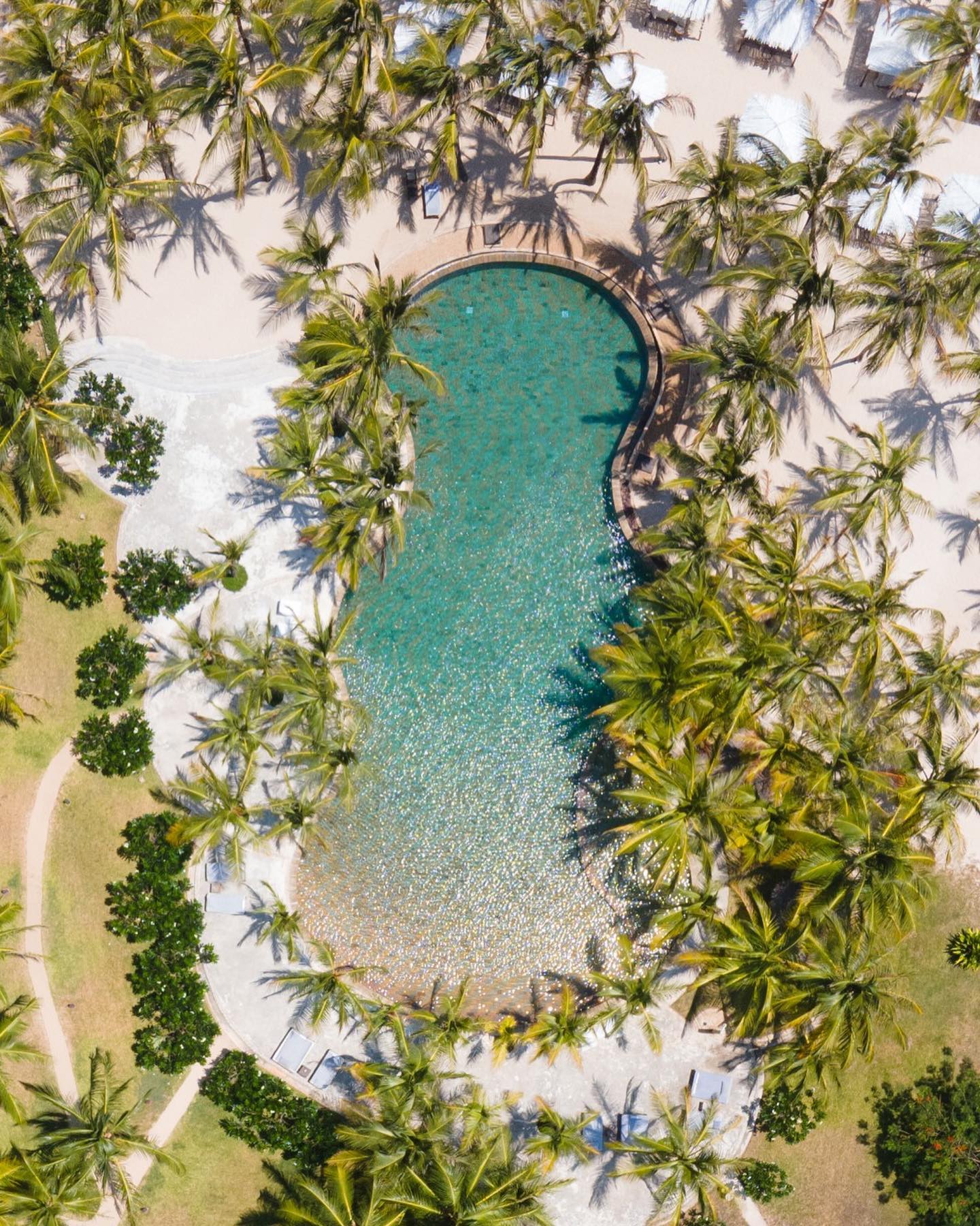 Flavio Briatore Un grande risultato e una grande soddisfazione:
&  vengono premiati come “Afric...