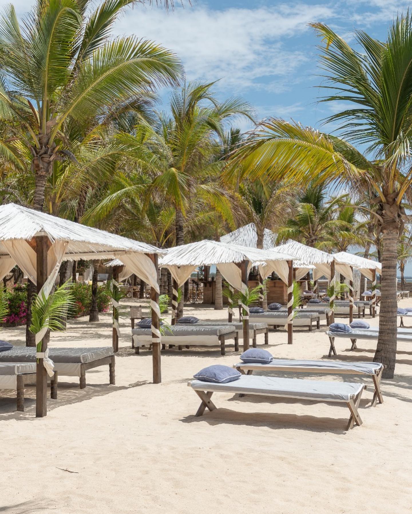 Flavio Briatore Un grande risultato e una grande soddisfazione:
&  vengono premiati come “Afric...