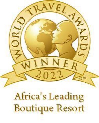 Flavio Briatore Un grande risultato e una grande soddisfazione:
&  vengono premiati come “Afric...