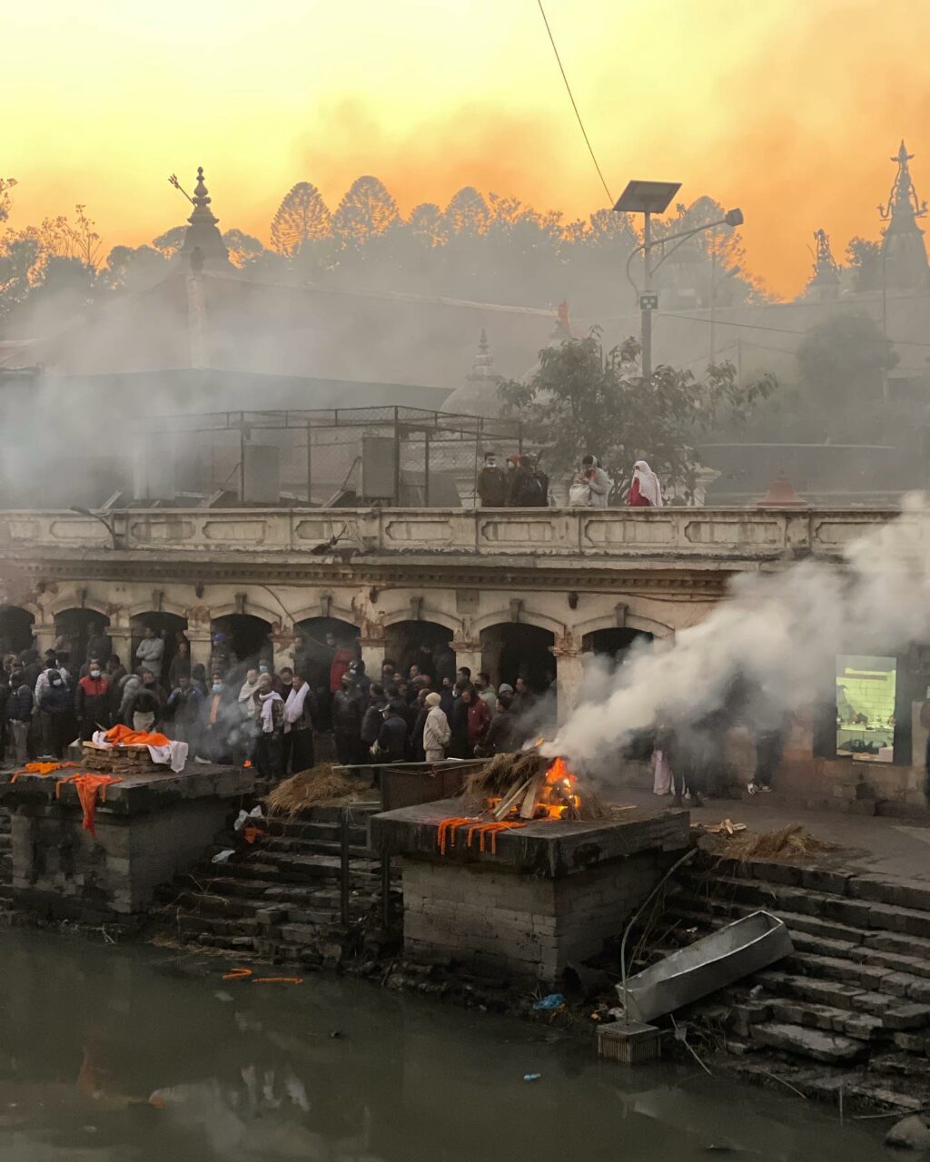 Selvaggia Lucarelli: regina del gossip, sacerdotessa del sarcasmo e maestra dell'ironia. Sempre...