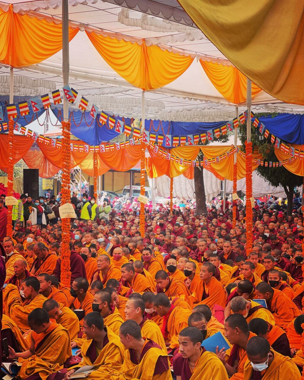 Selvaggia Lucarelli: una vera bomba mediatica pronta a esplodere sul web! Con il suo stile...