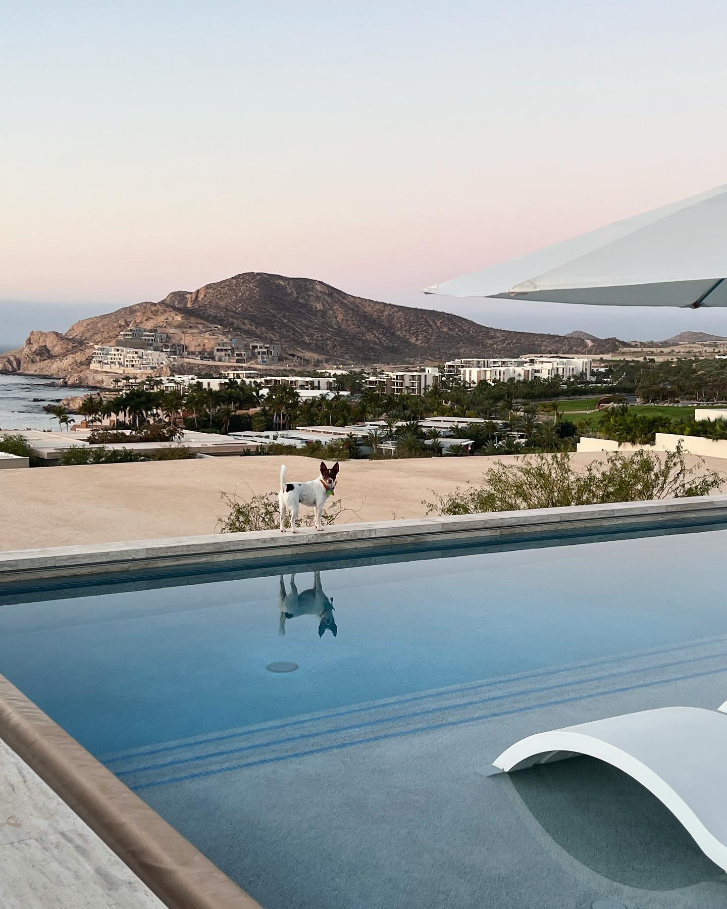 Elisabetta Canalis Bring me back to my dream vacation
adv...