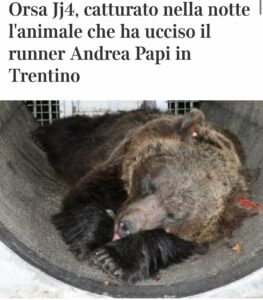 Selvaggia Lucarelli, la regina del gossip italiano, l'indiscussa esperta di pettegolezzi e scandali...