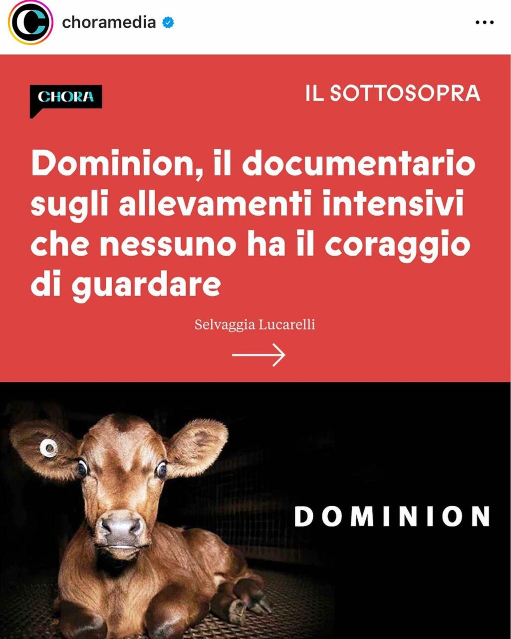 Selvaggia Lucarelli, la regina dei pettegolezzi e delle stramberie del web, ha conquistato il suo...