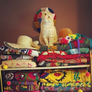 Se c'è una cosa che Selvaggia Lucarelli sa fare bene è scatenare polemiche. Con il suo stile diretto...