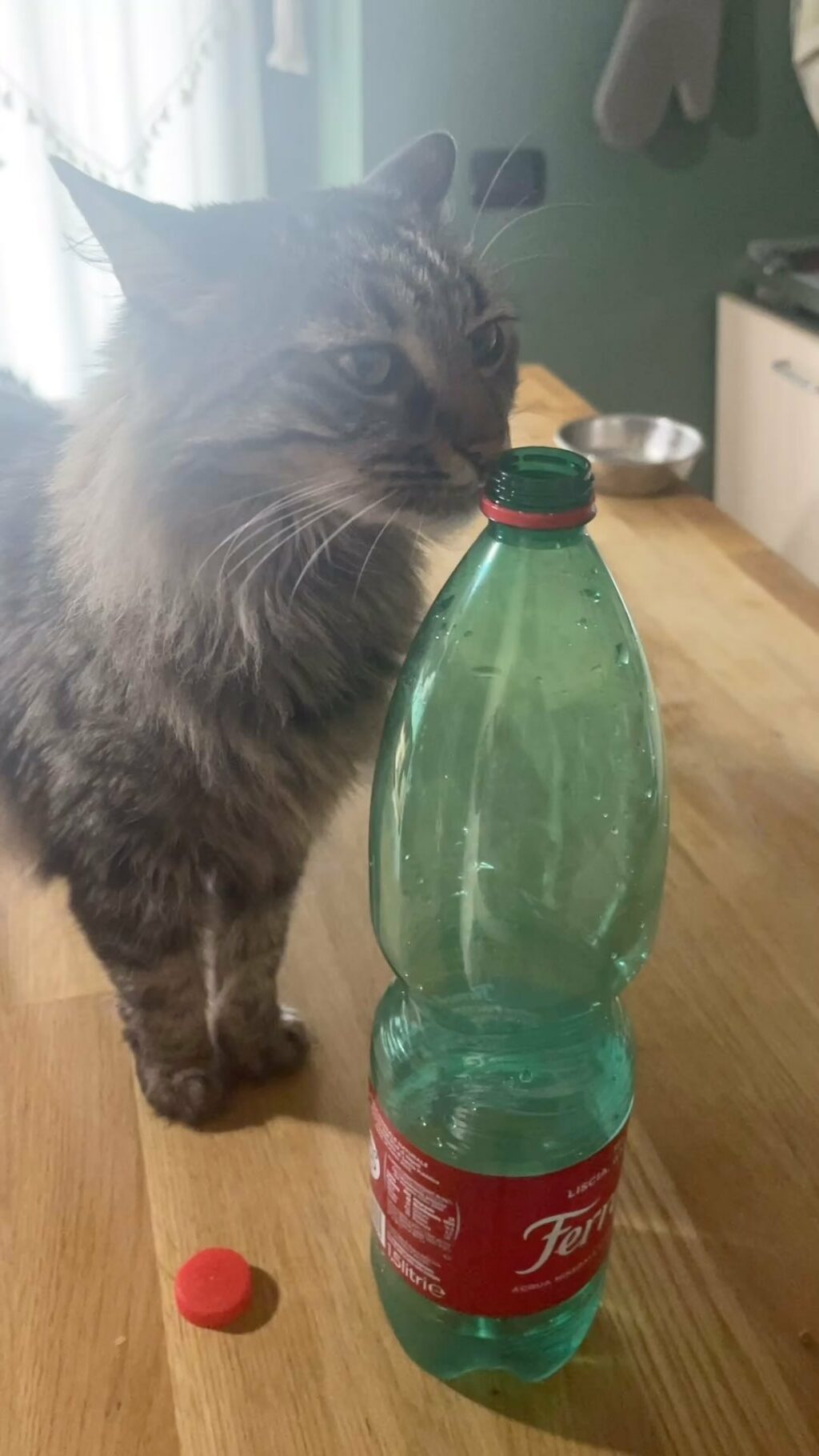 Selvaggia Lucarelli, una vera forza della natura nel mondo dell'informazione e del gossip. Con la...