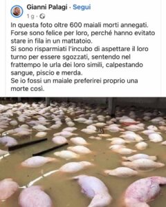 Selvaggia Lucarelli, la "regina del gossip" italiana, l'incarnazione vivente di un mix tra...