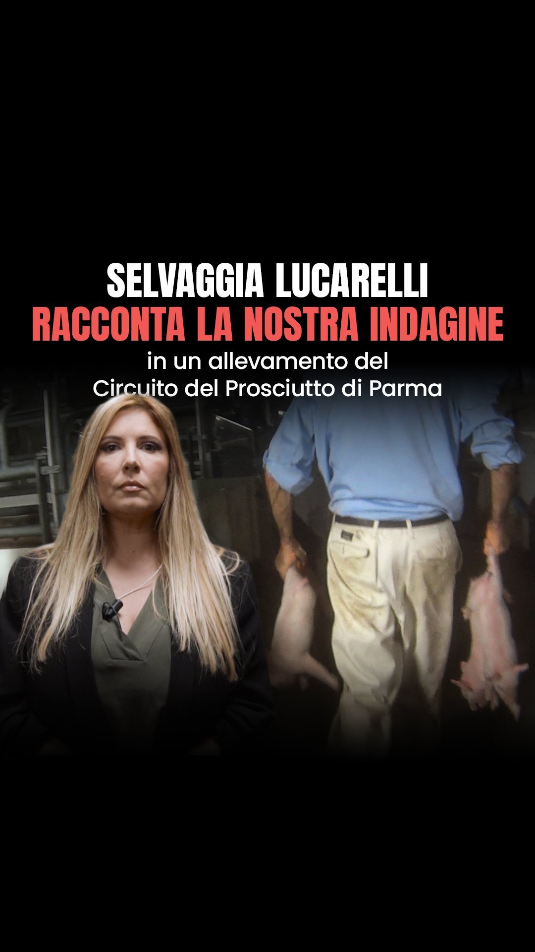 Selvaggia Lucarelli NUOVA INDAGINE di  raccontata da  
Nuova indagine sotto copertura di Essere Ani...