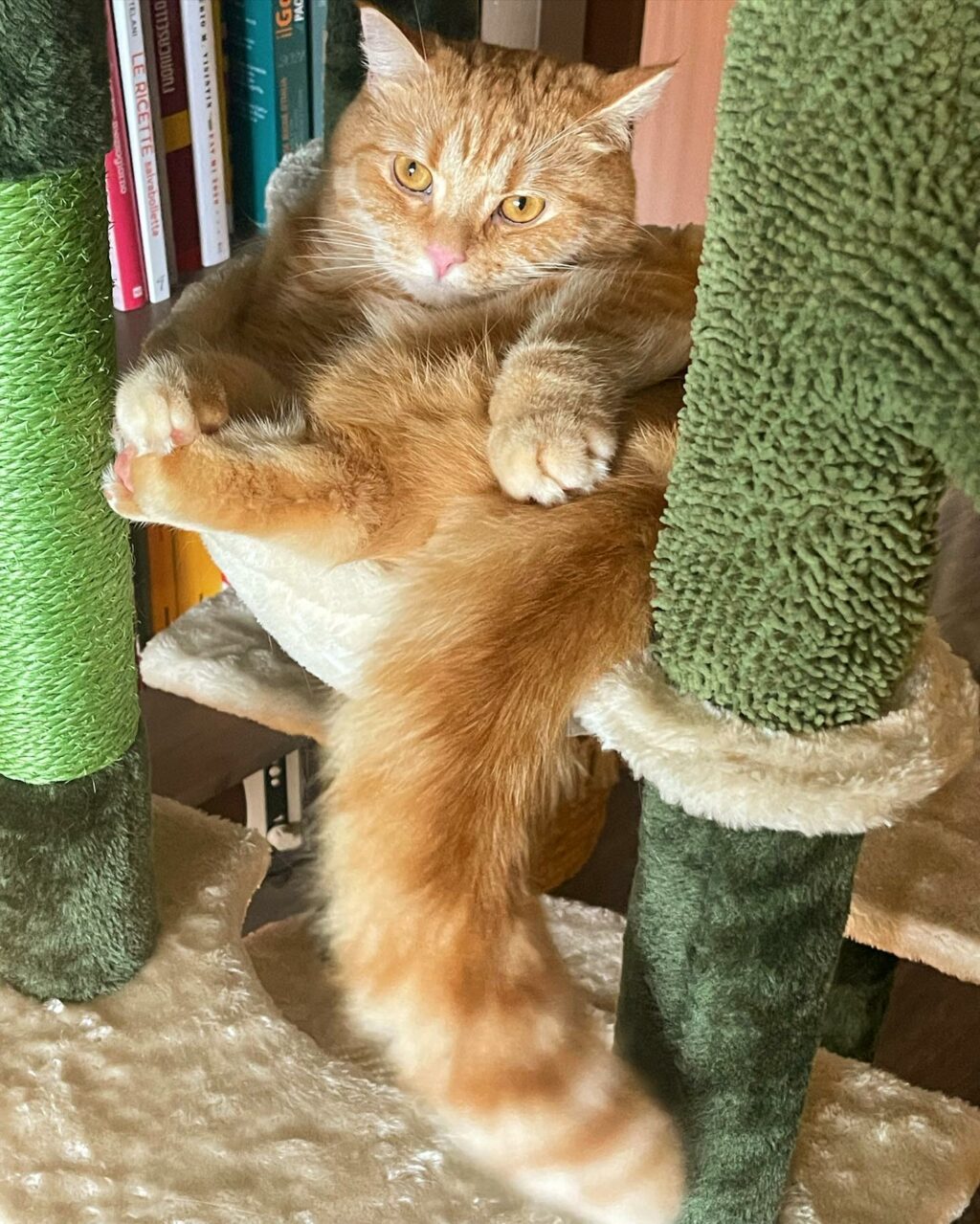 Selvaggia Lucarelli, la regina indiscussa della cronaca rosa italiana, con il suo stile unico e...