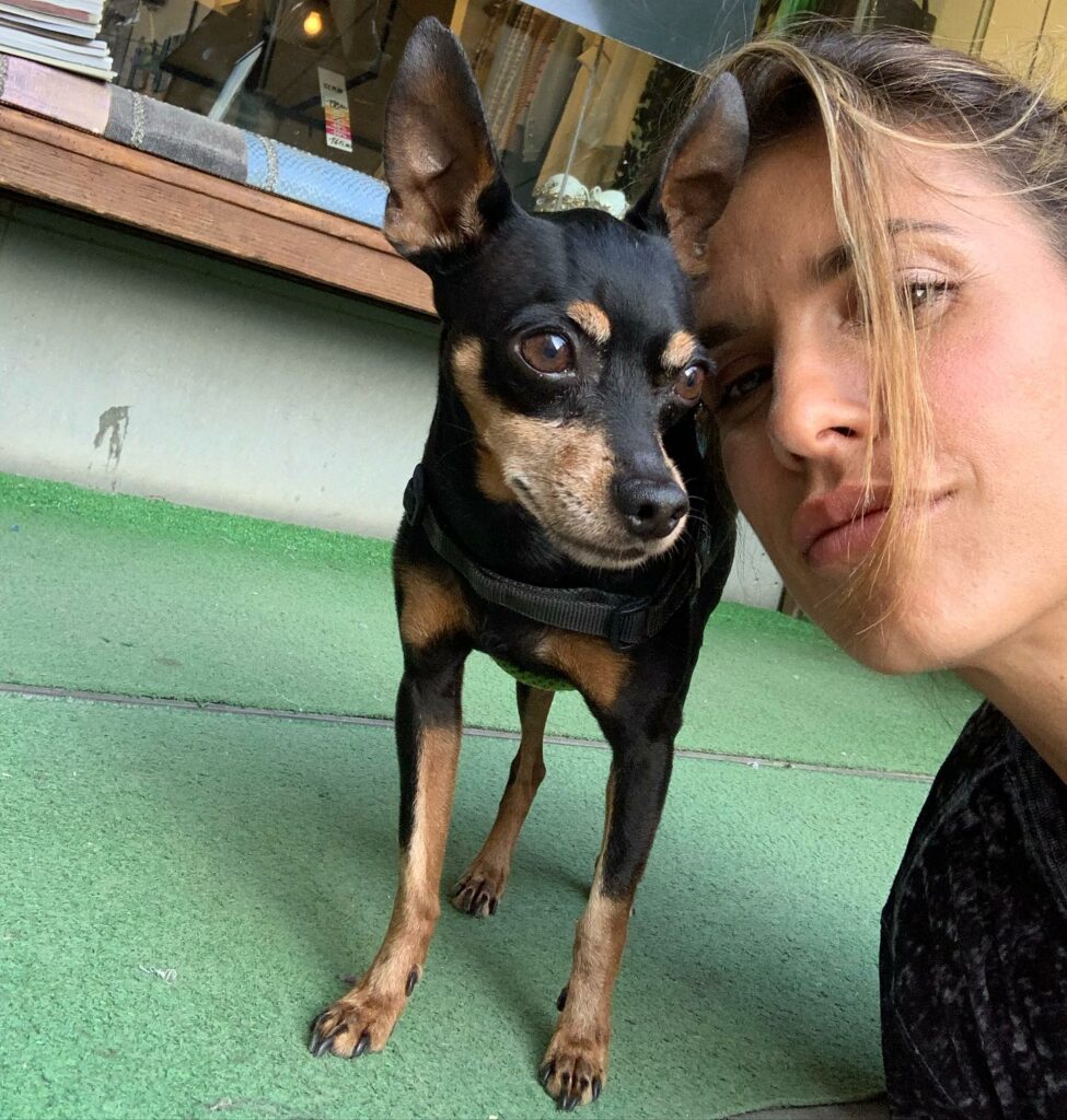 Elisabetta Canalis, Ciao Mia , piccola grande guerriera. Grazie per averci dato tutto il tuo amore… su Instagram per i suoi fan