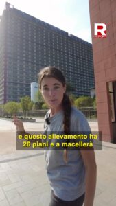 Selvaggia Lucarelli, Stasera a  andrà in onda un’inchiesta straordinaria di  e  Mostrerà le condizion… su Instagram delizia i suoi fan