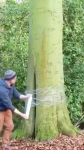 Selvaggia Lucarelli, Tipo vestire un albero, con un’idea…. su Instagram incanta i suoi fan