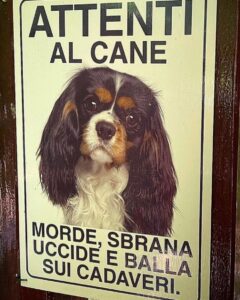 Selvaggia Lucarelli, la regina indiscussa della pungente ironia e della satira social, ha...