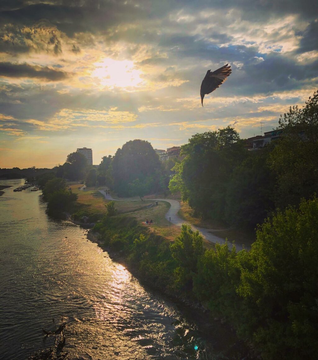 Selvaggia Lucarelli, la regina della critica acida e delle opinioni senza peli sulla lingua, è...