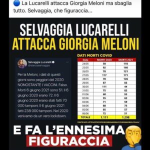 Cari lettori, oggi vi parlerò di una donna dal carattere forte, dalla lingua tagliente e dallo...