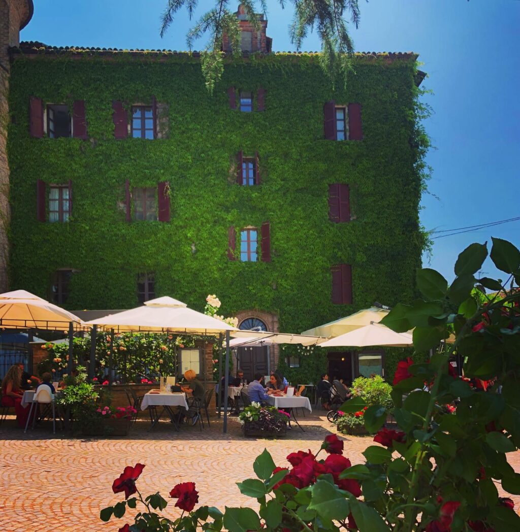 Stonata come una renna in pieno agosto e tagliente come una matita appena temperata, Selvaggia...