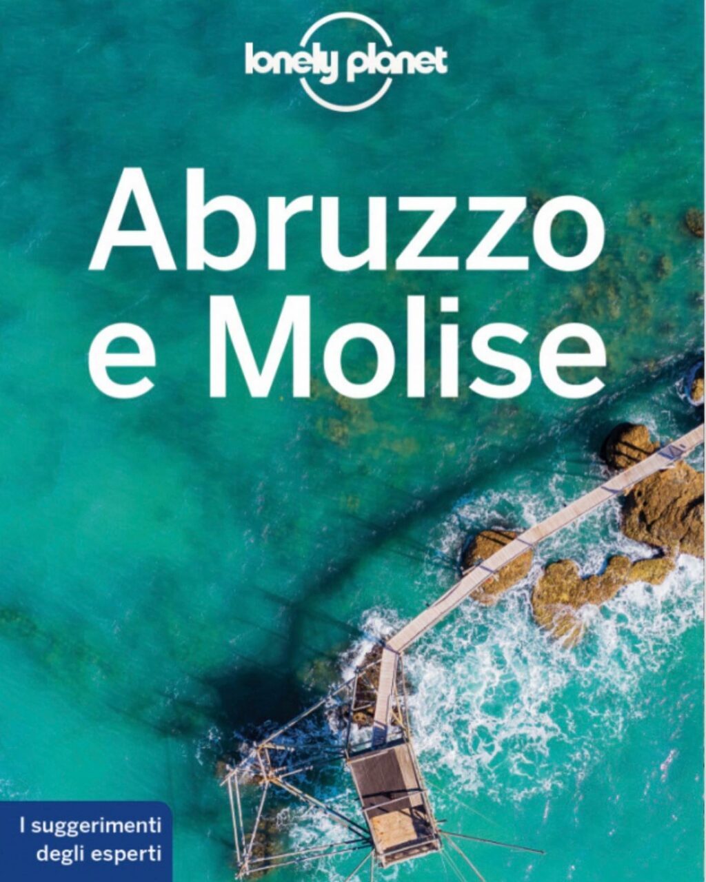 Selvaggia Lucarelli, la regina dei gossip e delle frecciatine, una vera leonessa pronta a combattere...