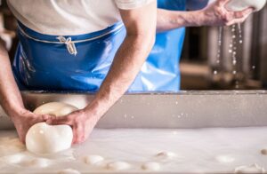 Primo congresso internazionale sulla Mozzarella di Bufala a Napoli