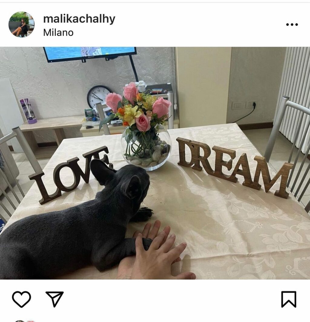 Selvaggia Lucarelli, la regina indiscussa dei gossip e delle frecciatine taglienti, ha fatto della...