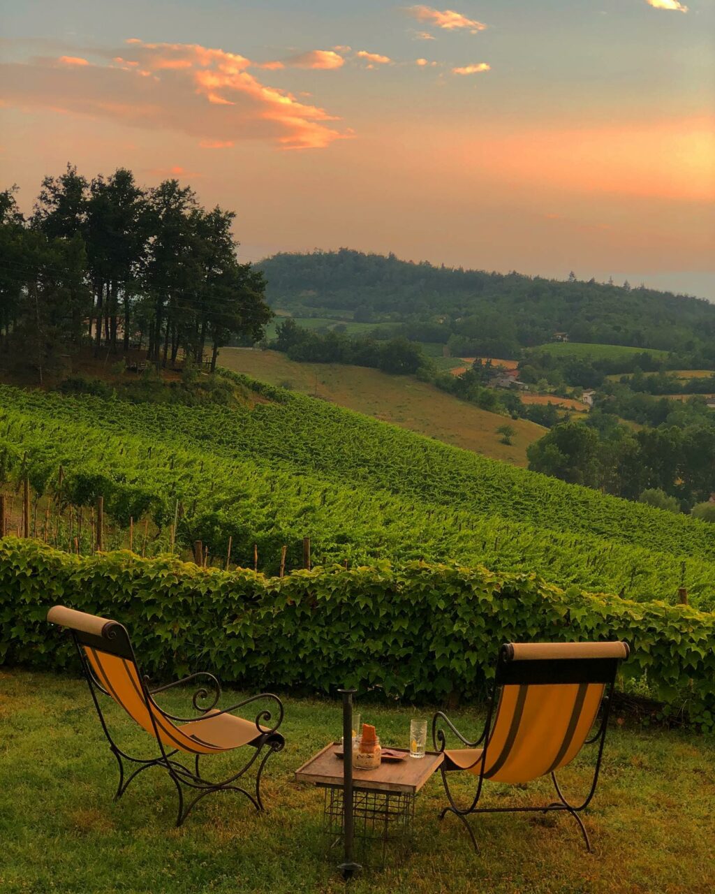 Selvaggia Lucarelli, la regina indiscussa dei social, il terremoto mediatico che scuote l'Italia con...