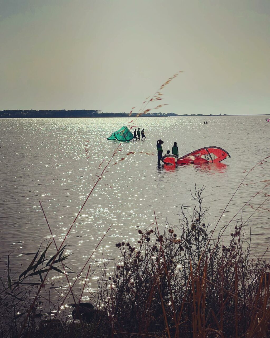 Selvaggia Lucarelli, E poi c’è lo Stagnone, dove è sorto una specie di villaggio dal sapore elegantem… su Instagram saluta i suoi fan