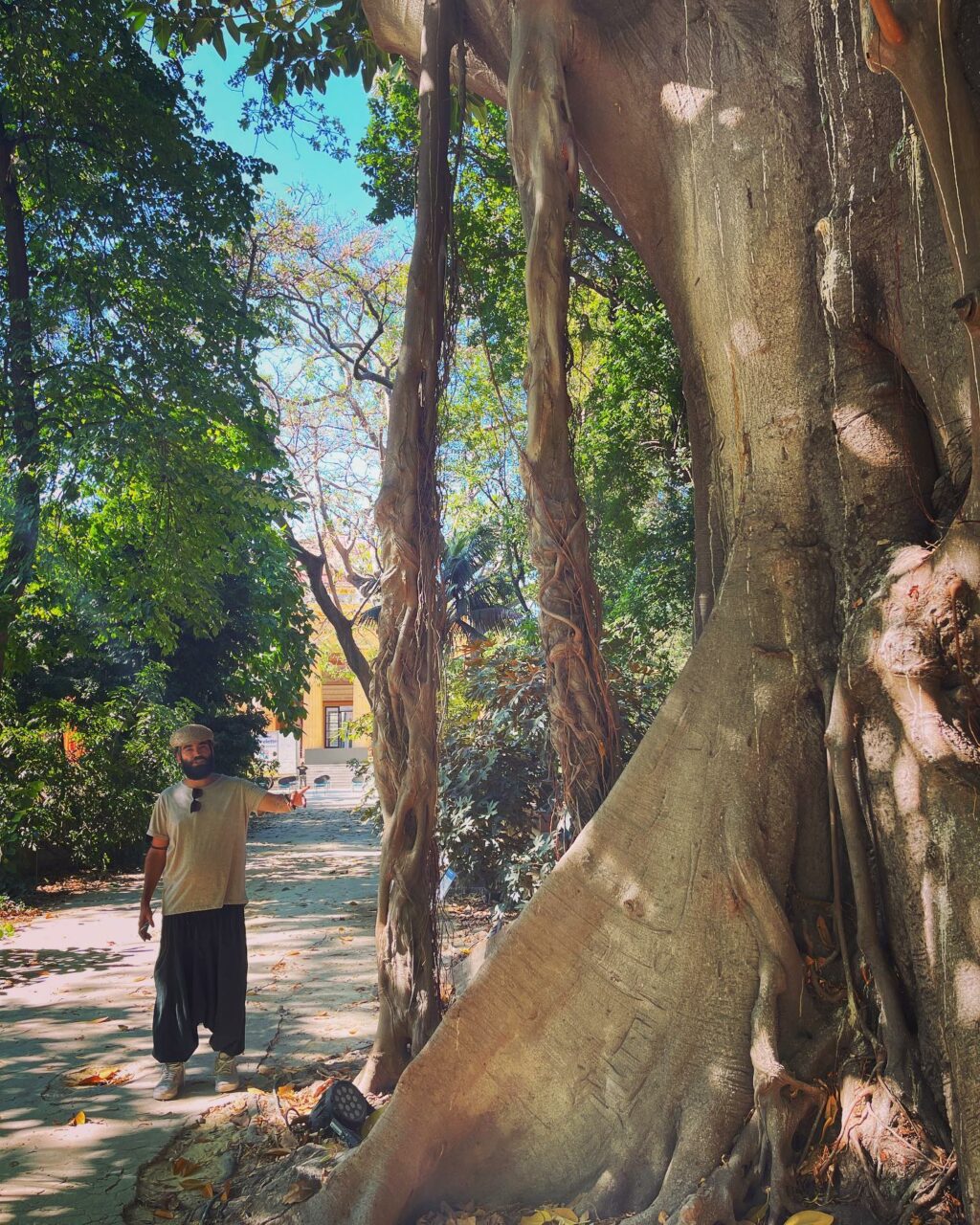 Selvaggia Lucarelli, Serre, canneti, piante grasse, alberi secolari e piante da tutto il mondo. L’ort… su Instagram per i suoi fan