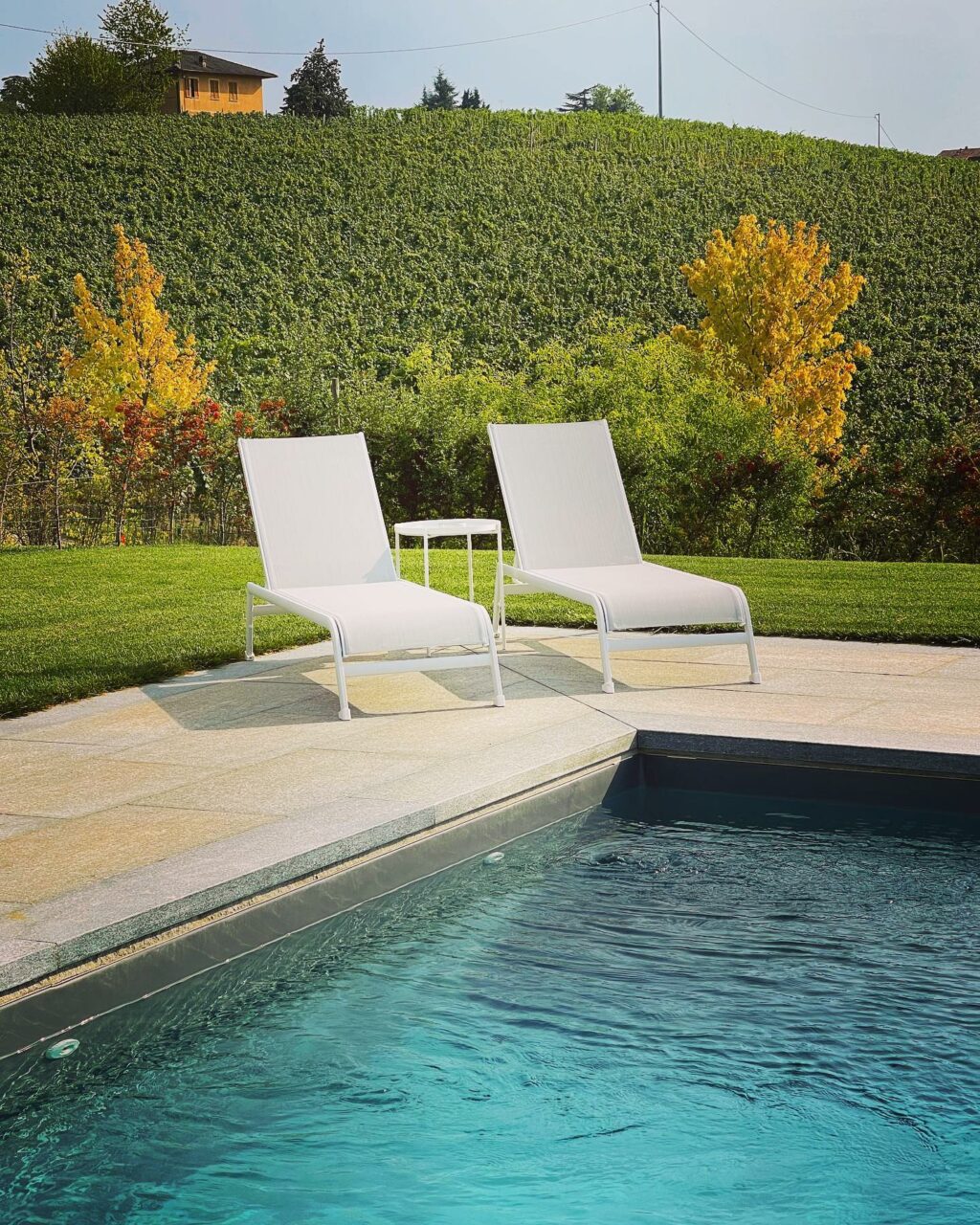 Selvaggia Lucarelli, Le Langhe forse al primo posto tra i miei luoghi preferiti nel nord Italia. Sopr… su Instagram per i suoi fan